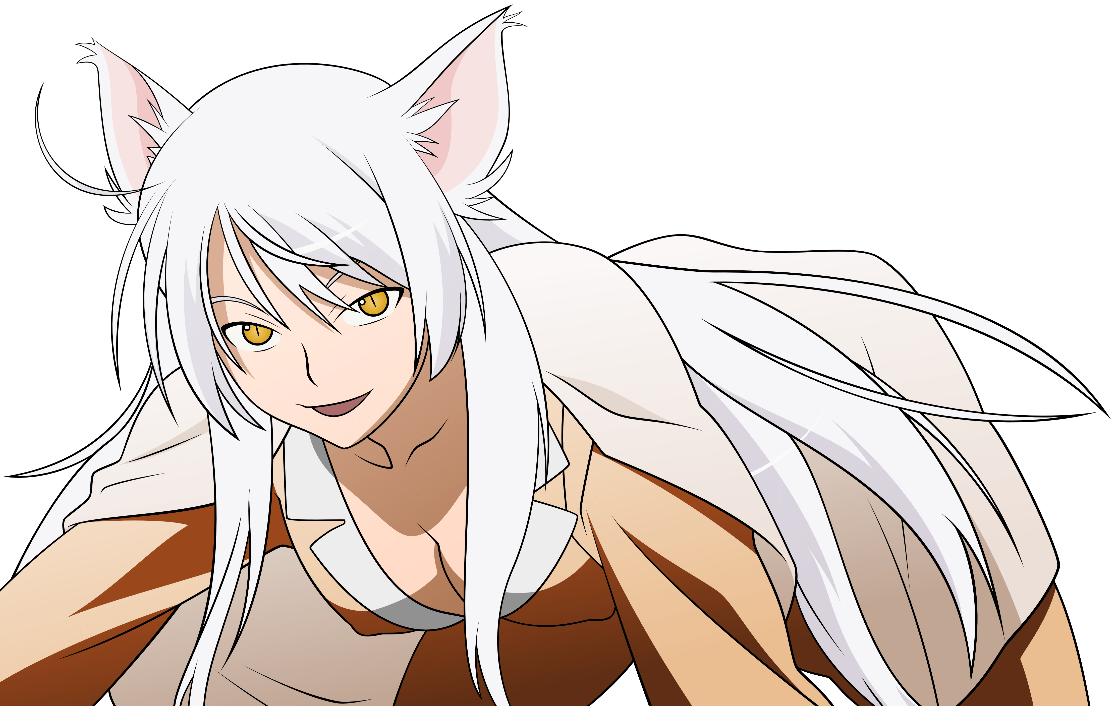 It is the 2005 version of 1979 series, with certain changes in the animation and other things. Monogatari (Series) 4k Ultra HD Wallpaper | Background