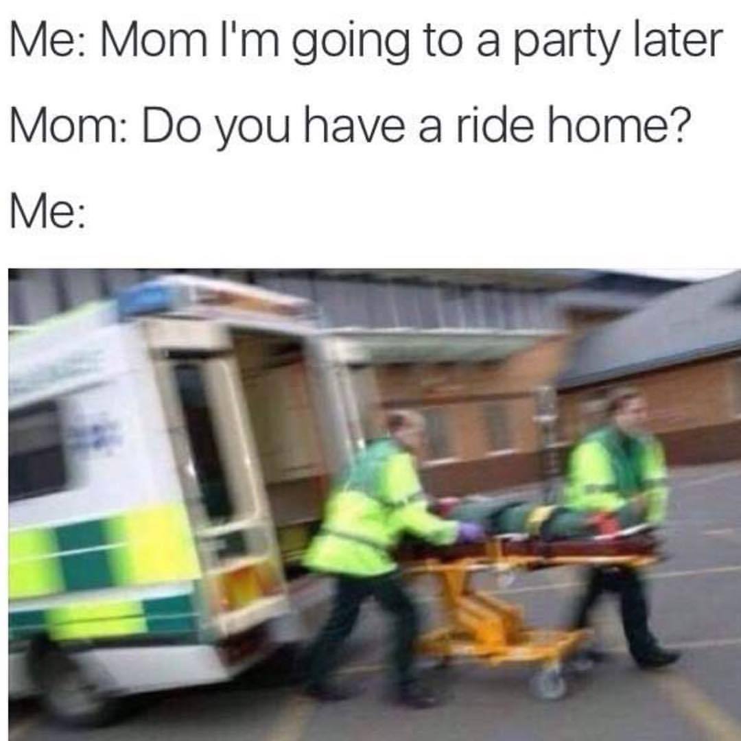 Serperior's stats in pokemon black and white versions reflect that it will only give its all · add your own caption. The best ambulance memes :) Memedroid