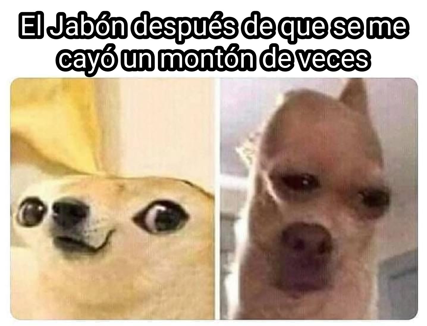 To help bring a little bit of laughter into what has been one of the worst years, look through these funny 2020 memes to end the year on a positive note. Top memes de perros en espaÃ±ol :) Memedroid