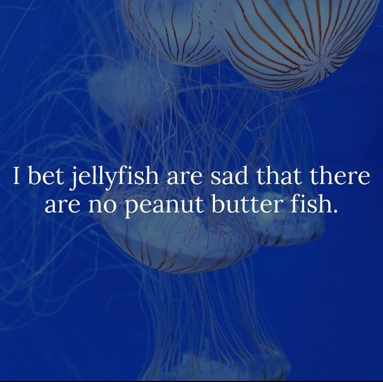 While spongebob races around jellyfish fields, being chased by patrick . The best jellyfish memes :) Memedroid