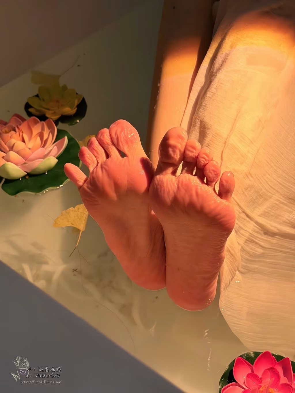 Coser麻薯好吃：水中月中秋寫真(93)