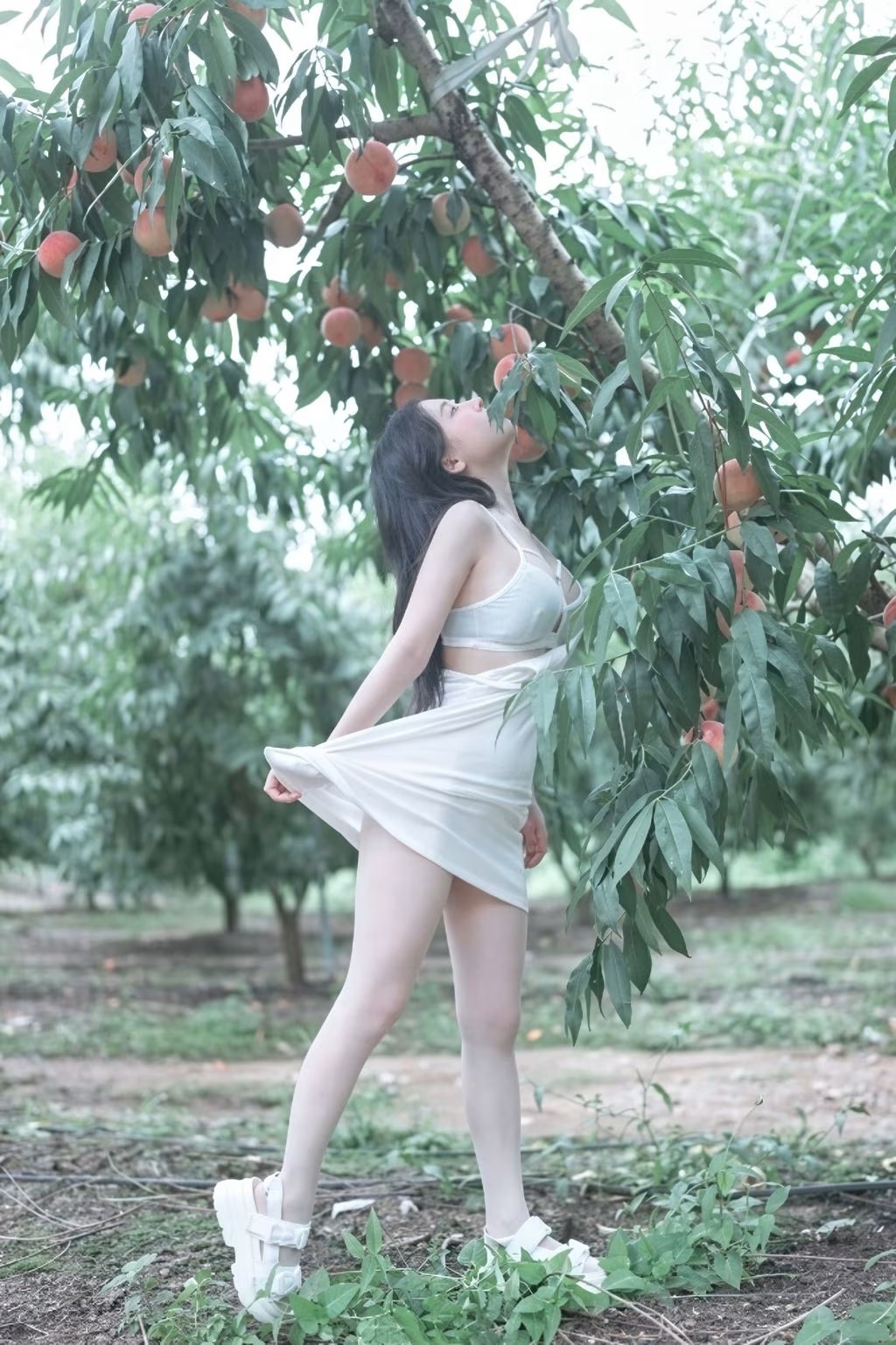 AI增強版 PhotoChips 第132卷第7期：Baebae