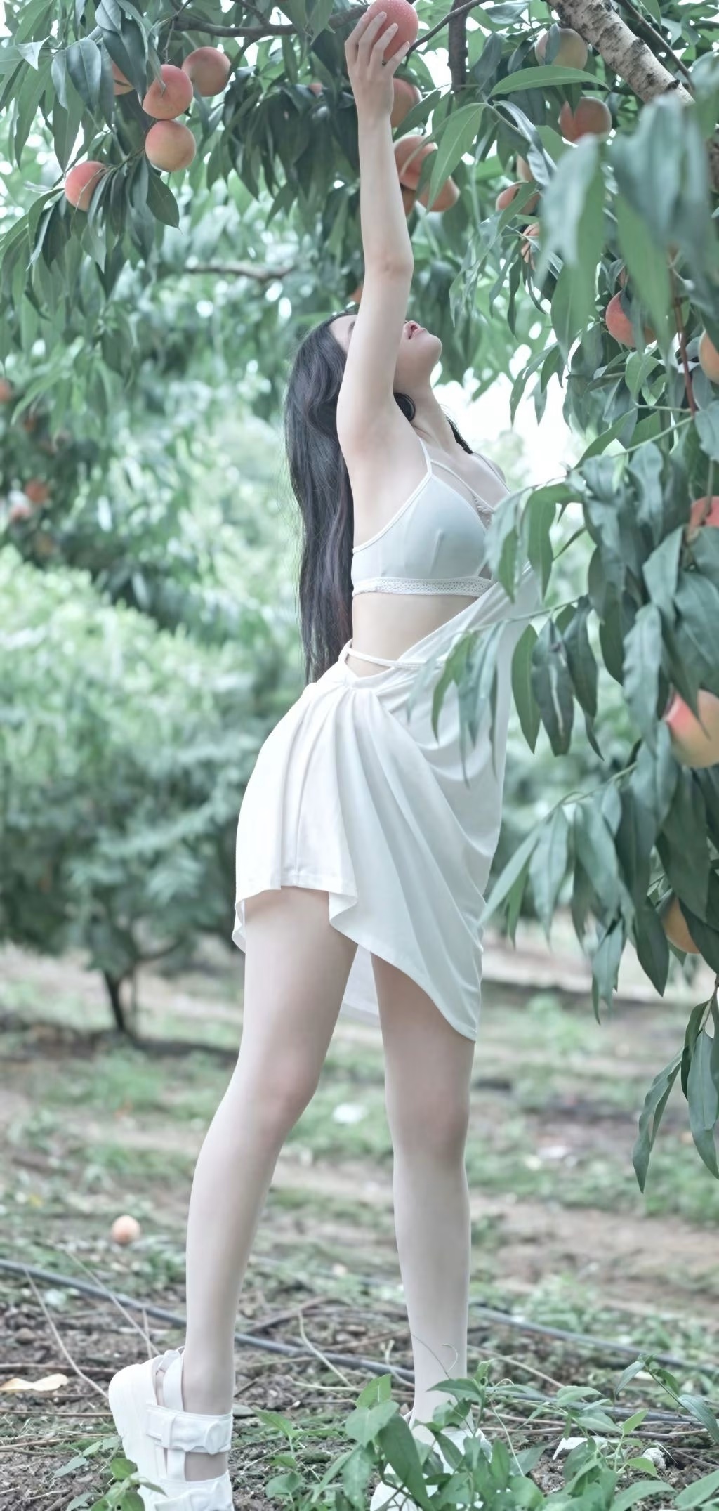 AI增強版 PhotoChips 第132卷第7期：Baebae(2)