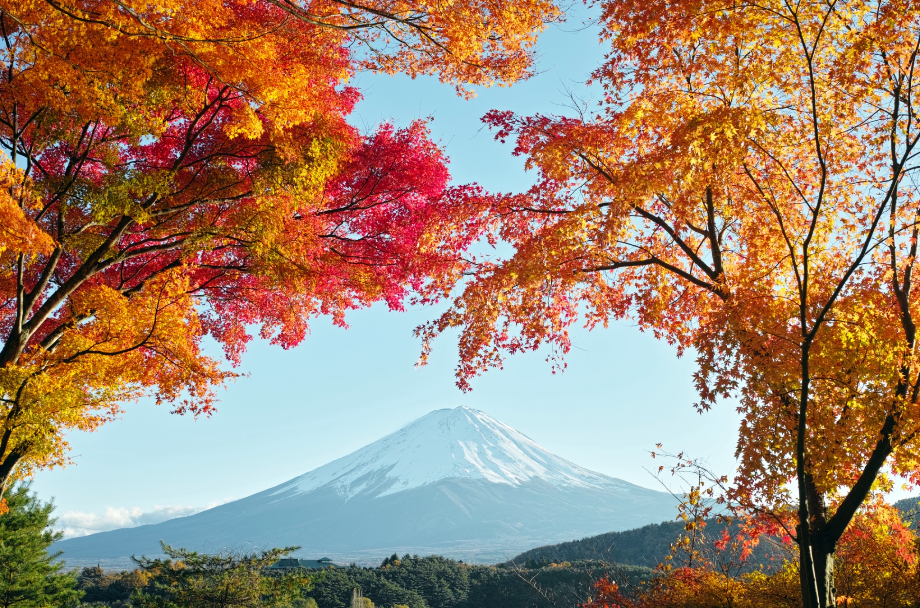 100+ Mount Fuji Hd Wallpapers | Background Images 2047_X_3100_jpg