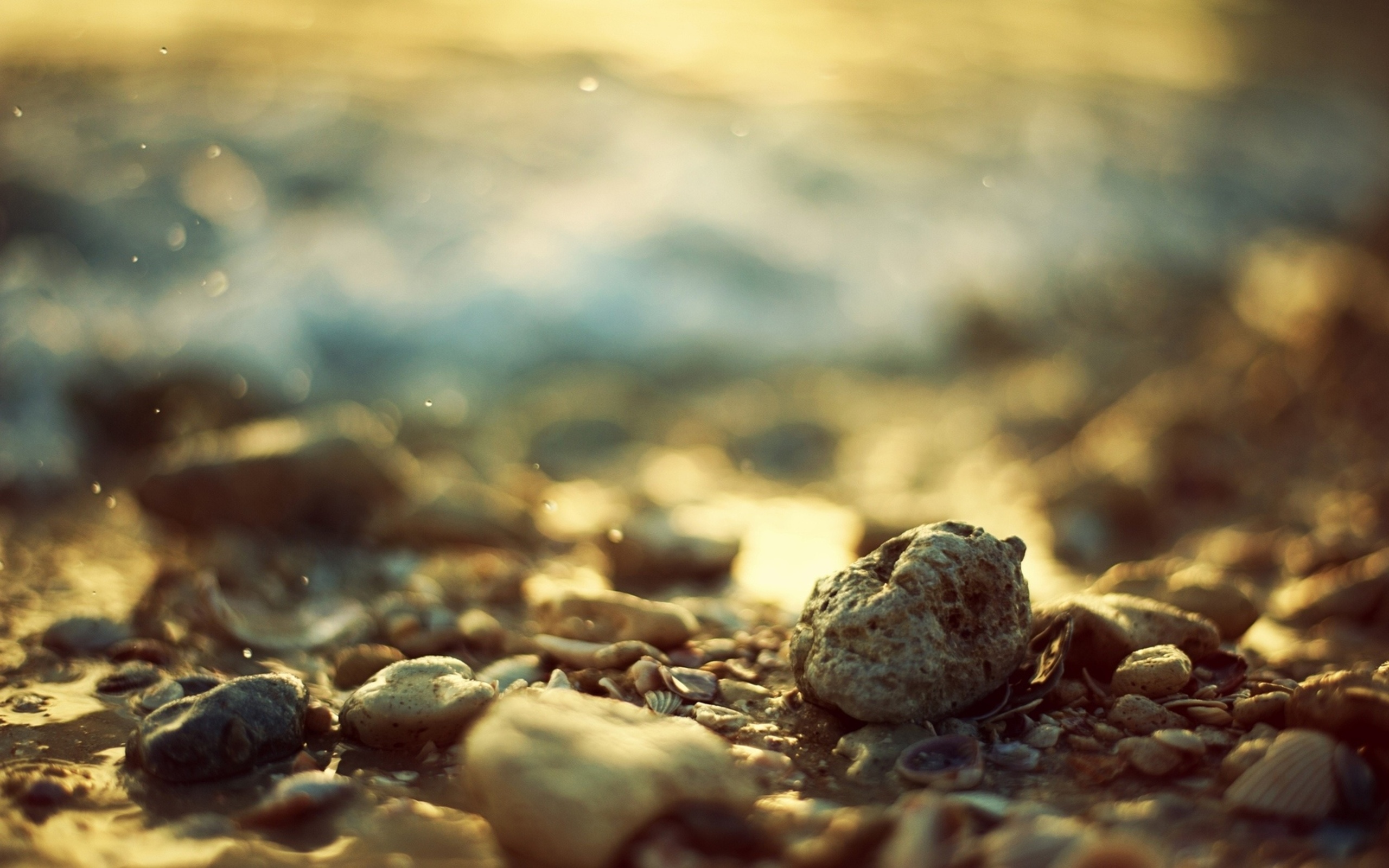 A lovingly curated selection of 2442 free 4k depth of field wallpapers and background images. Stone Hd Wallpaper Background Image 2560x1600