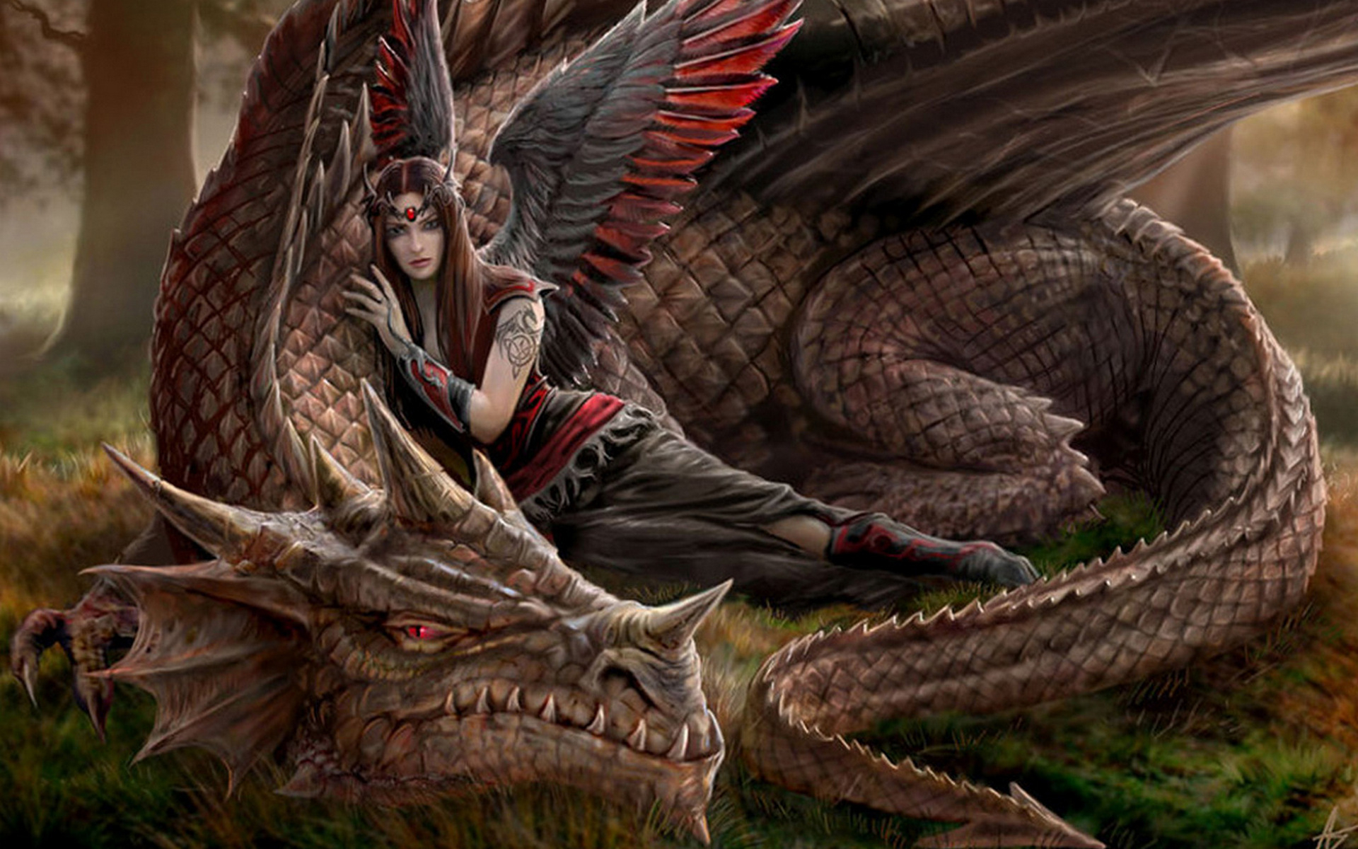 Download zedge™ app to view this premium item. Fantasy Dragon Hd Wallpaper Background Image 1920x1200