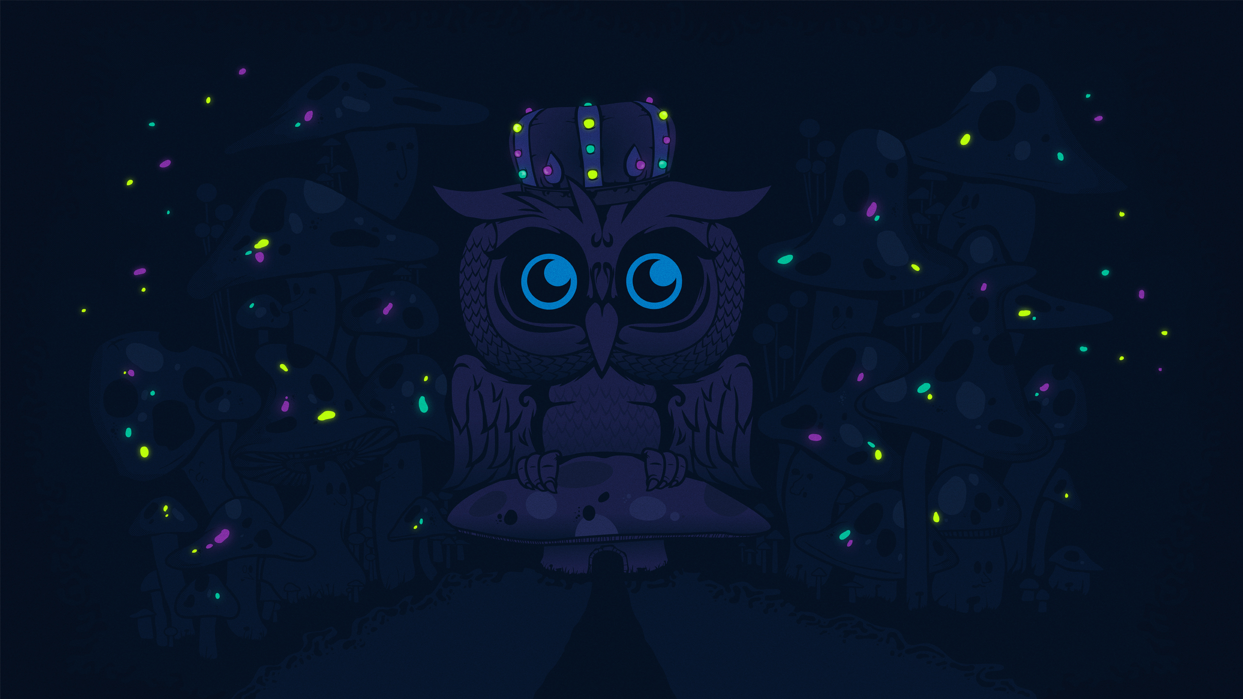 Tons of awesome night owls wallpapers to download for free. Night Owl Hd Wallpaper Background Image 2560x1440