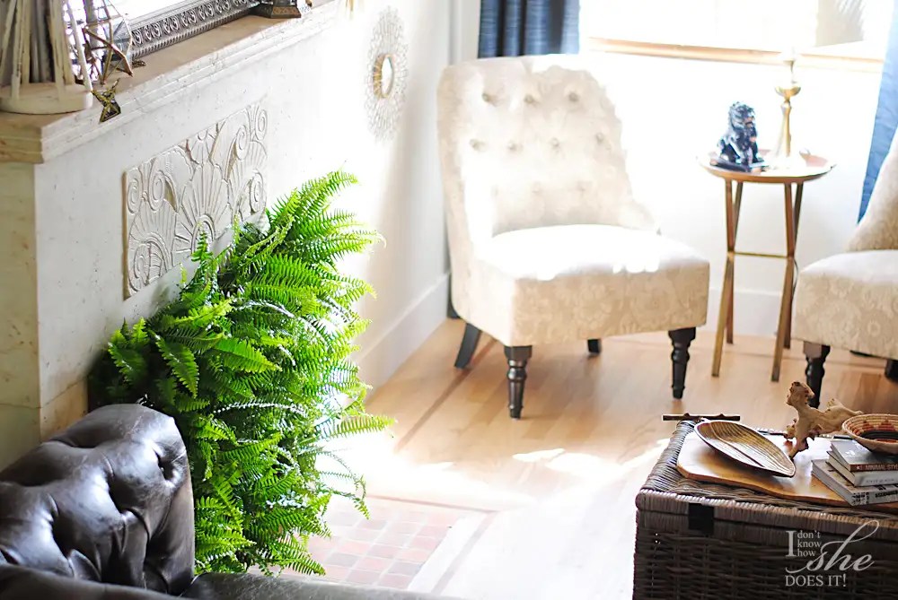 Fireplace plant facade Know How She Does It