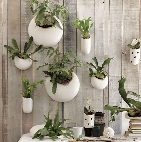 The art of hanging food Know How She Does It