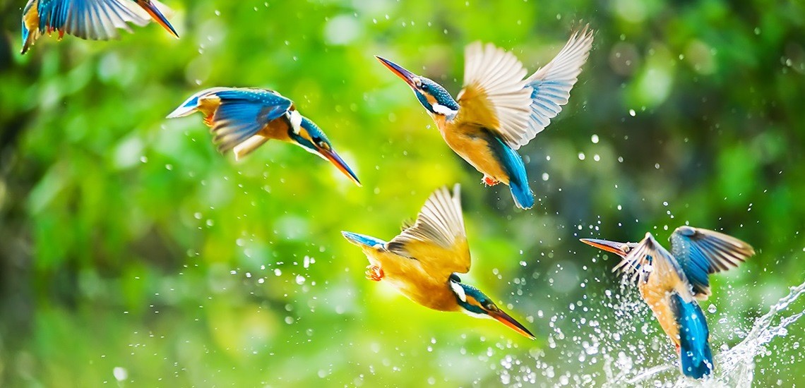 10725 قيوجد عديد من اسماء والكلمات فلغه عربيه جميله جدا وايضا يمكن ان نسيميها لابنائنا وبناتنا ولكن لابد من معرفه معانيها وهل هي تتناسبج. ØµÙØ± ÙØ±Ù Ø±ÙØ¹Ù Ø§Ø¬ÙÙ ØµÙØ±Ù Ø·Ø¨ÙØ¹ÙØ© Ø±Ø§Ø¦Ø¹Ù ØµÙØ±Ù