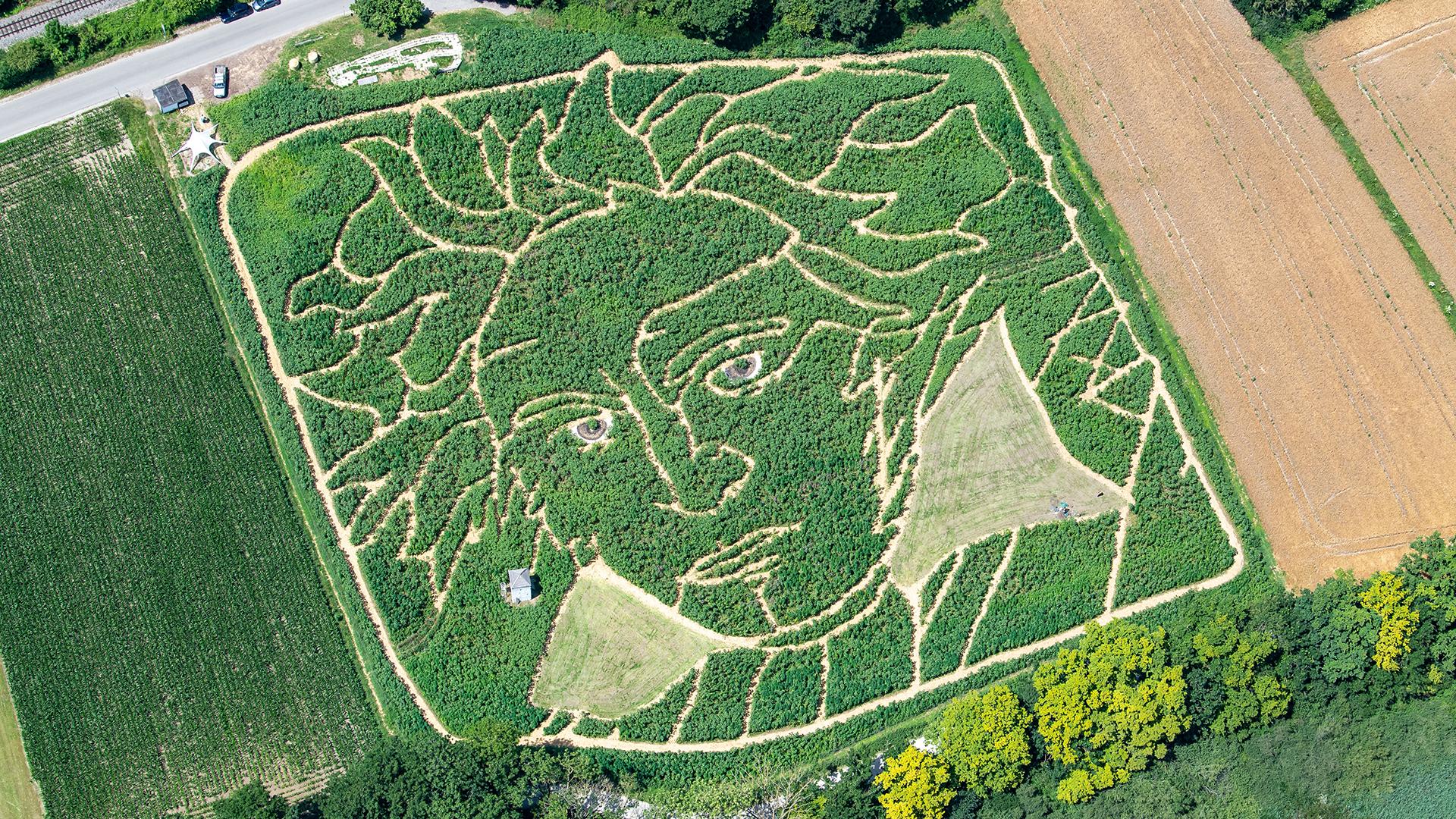 Dazu immer wieder neuvorstellungen mit hitpotenzial. Dieses Beethoven-Labyrinth ist der Hit! Der Irrgarten von