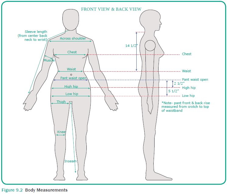 Taking body measurements is a good way to track weight loss progress and body composition changes. Tools Used For Taking Body Measurements And Method Of Taking Measurements
