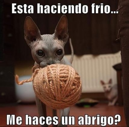 Aunque la navidad de 2020 será atípica, la emoción en redes sociales no faltó. Memes para burlarnos del frÃ­o - Chilango