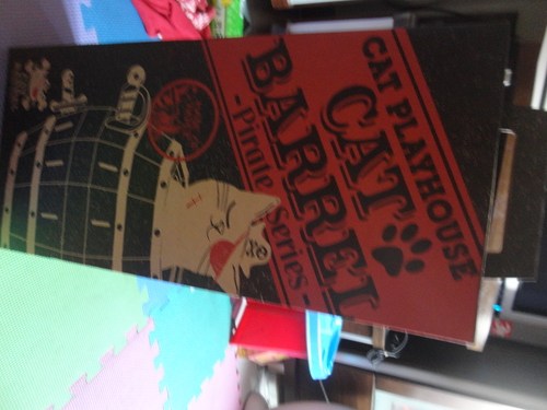 瘋狂貓咪桶!貓咪專用遊戲屋，最瘋狂的玩法