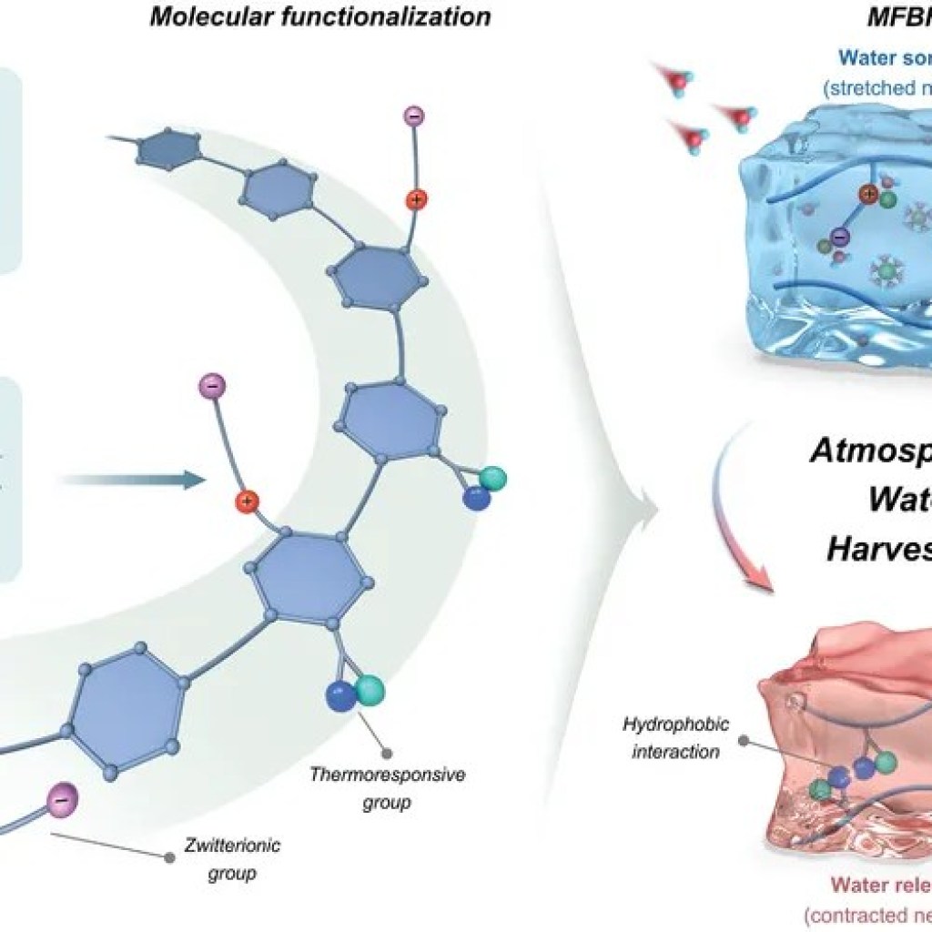 Scientists Create Water-Harvesting Expertise That Makes use of Kitchen Scraps and Seashells – Decrypt Scientists Create Water-Harvesting Expertise That Makes use of Kitchen Scraps and Seashells – Decrypt