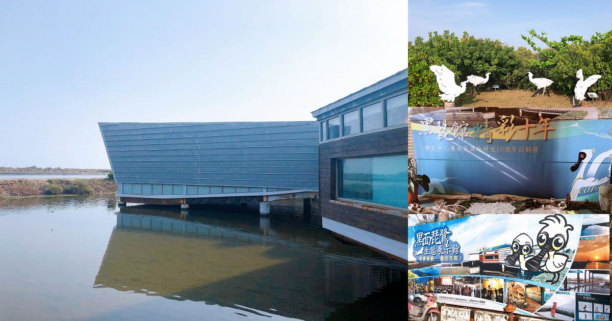 黑面琵鷺生態展示館｜黑面琵鷺生態保護區｜是熱愛大自然與生態觀察的好去處