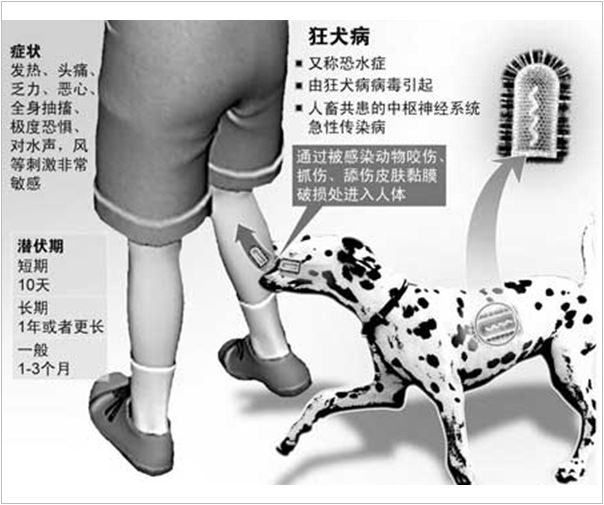 《生活》狂犬病是什麼?!全台擴散狂犬病疫情‧Q&A狂犬病懶人包 《生活》狂犬病是什麼?!全台擴散狂犬病疫情‧Q&A狂犬病懶人包