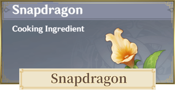 Can be eaten once cooked. Snapdragon Location How To Get Genshin Impact Gamewith