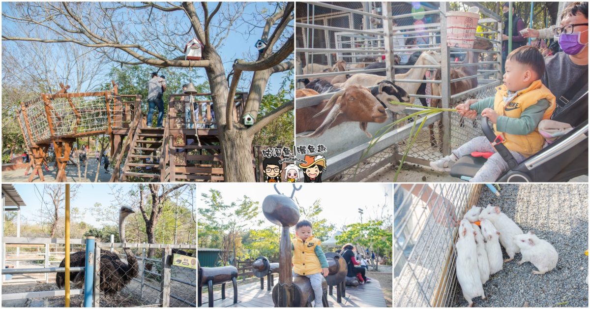台南旅遊景點》親子同遊好好玩，不容錯過的好地方！近距離接觸餵多種可愛動物/騎馬/多設施遊樂：樹谷農場