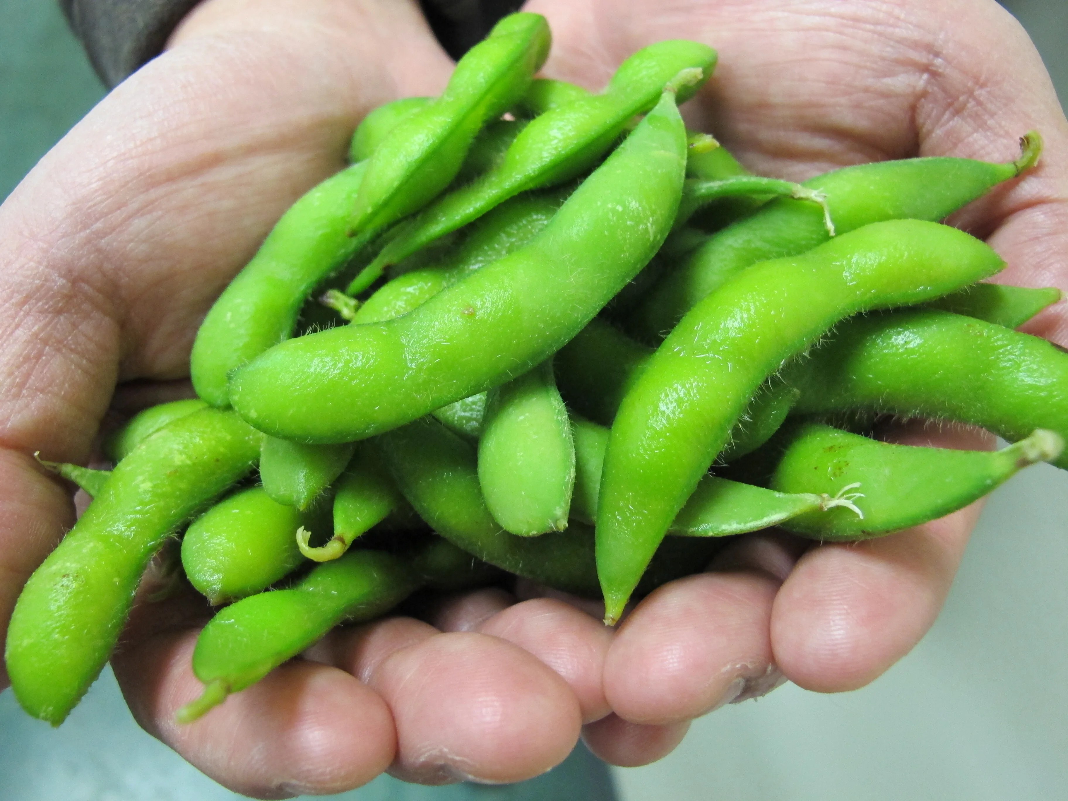I'm A Doctor ― These 3 Protein Sources Are Best For Your Gut
