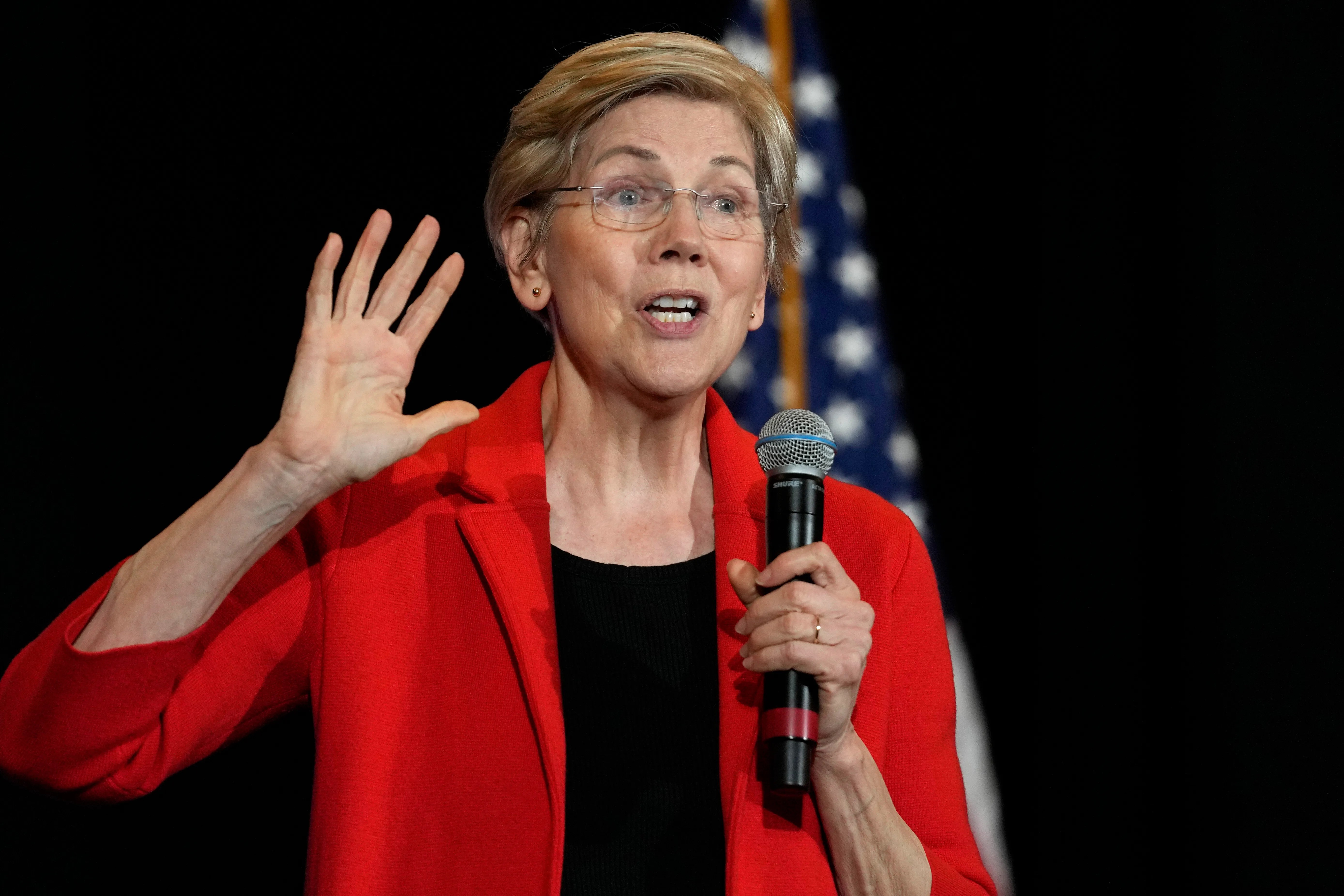 Elizabeth Warren Tells Democrats What They Must Do Before Trump Takes Power