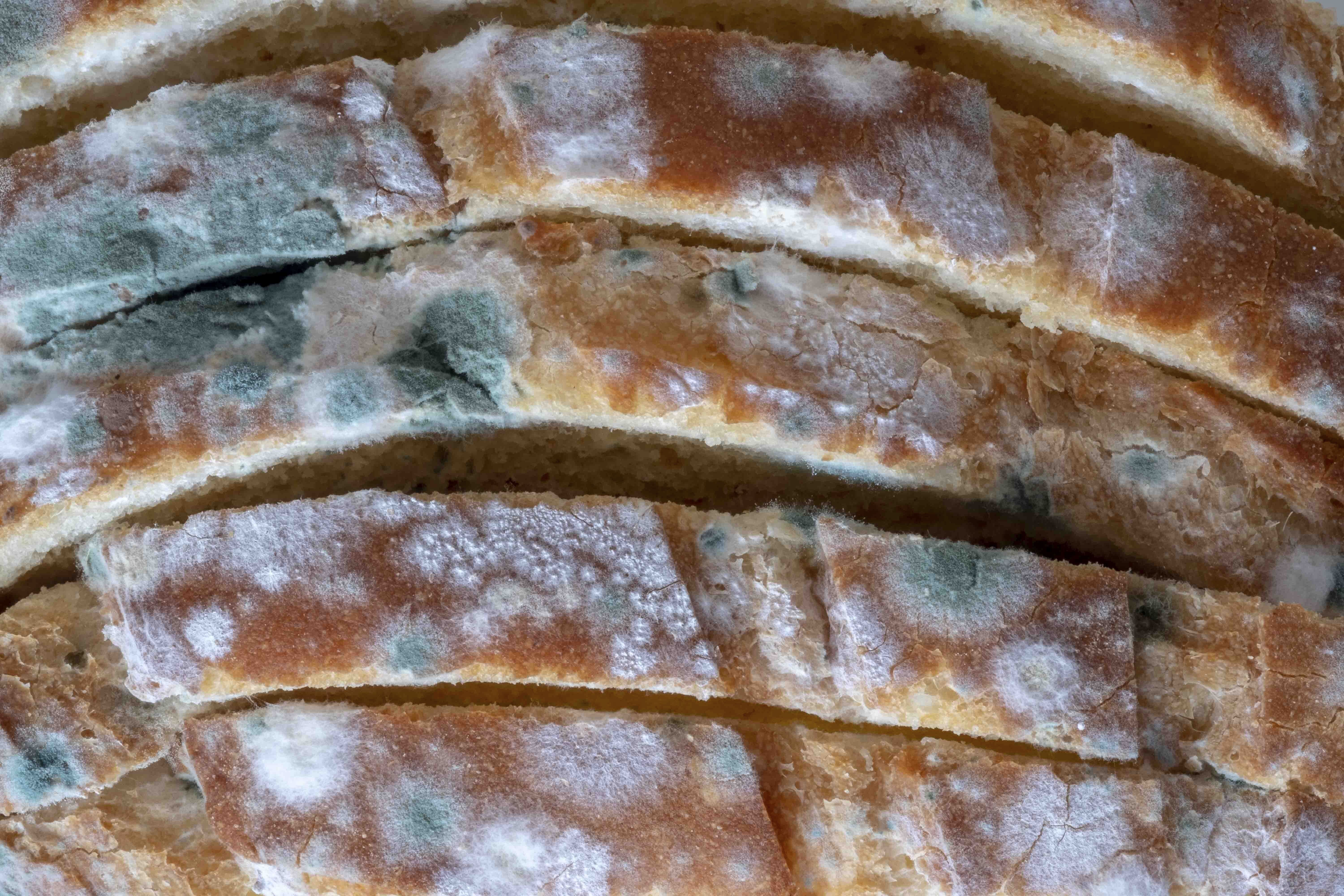 If 1 Slice Of Bread Is Mouldy, Is The Whole Loaf Bad?