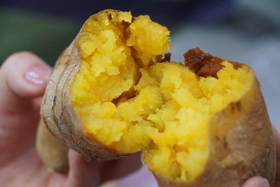 【新興區】有春地瓜