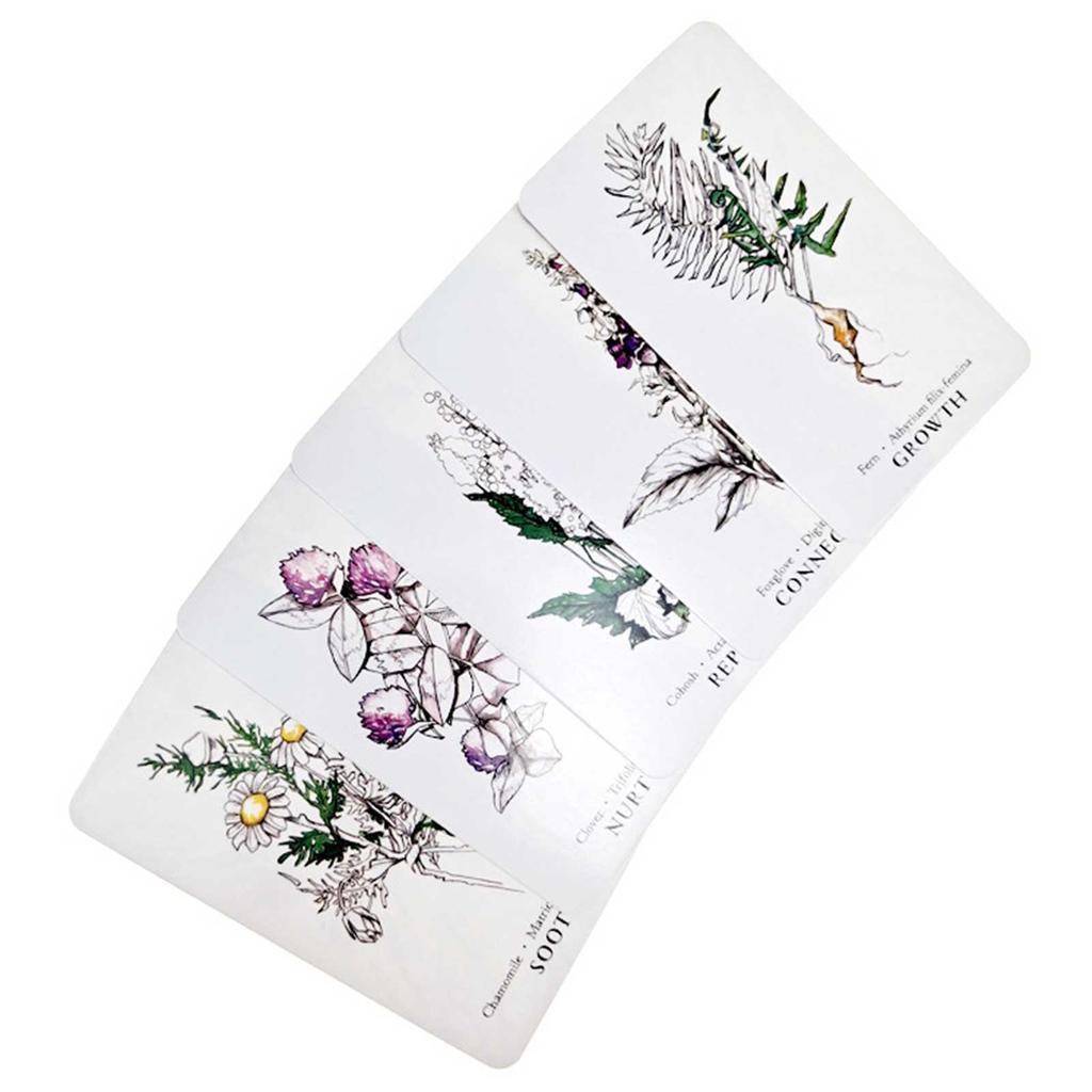 Tarot decks are divided into two primary sections called arcana. Buy Tarot Cards For Hedge Witch Botanical Oracle English Board Games At Affordable Prices Free Shipping Real Reviews With Photos Joom