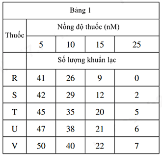 A table with numbers and lettersDescription automatically generated