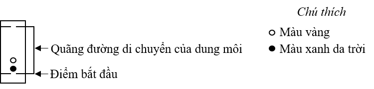 A black background with a black squareDescription automatically generated with medium confidence