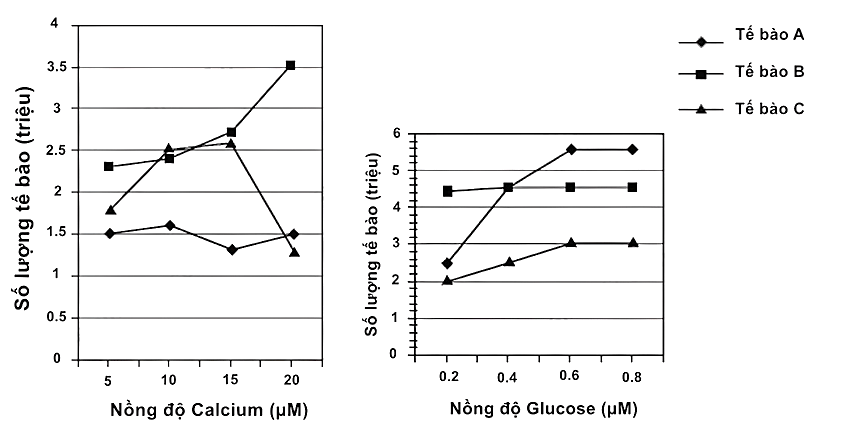 A graph of different types of mineralsDescription automatically generated with medium confidence