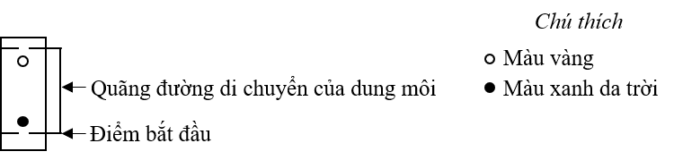 A black background with a black squareDescription automatically generated with medium confidence