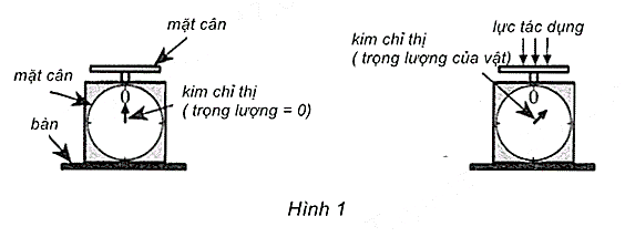A white background with black textDescription automatically generated
