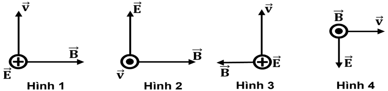 Ảnh có chứa biểu đồ, hàng, vòng tròn, màu trắngNội dung do AI tạo ra có thể không chính xác.