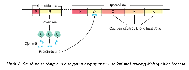 A diagram of a line with textDescription automatically generated