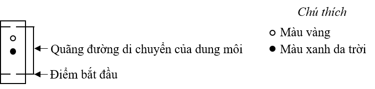 A black background with a black squareDescription automatically generated with medium confidence