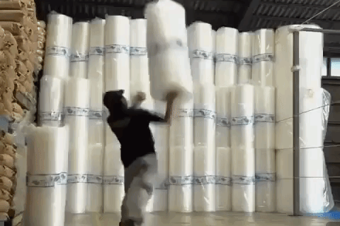 (图片来源:goodvideosarehere/Youtube视频截图)