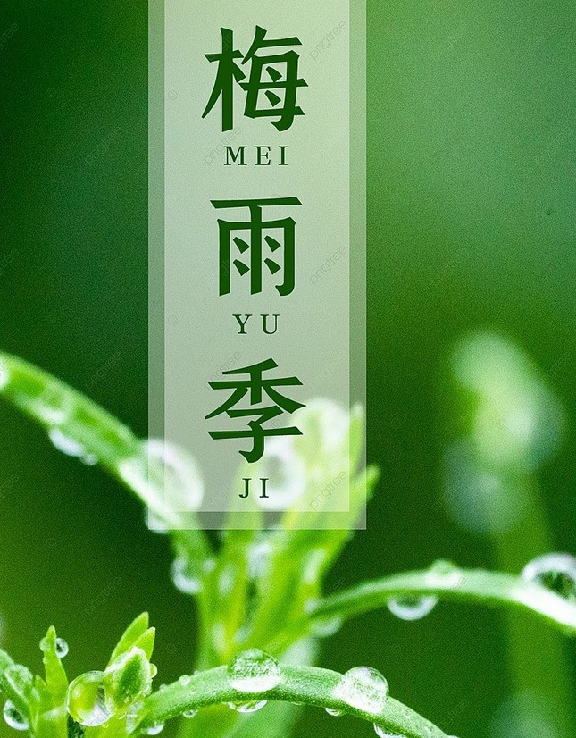所以在中國長江中、下游地區也叫「霉雨」(pngree)