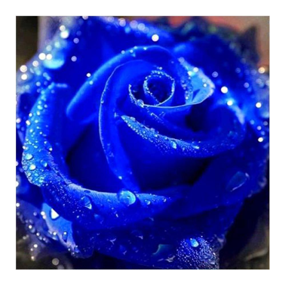 In short, 5d cross stitch is a half way house between cross stitch, and diamond painting. Diamond Painting - Full Round - Blue Rose