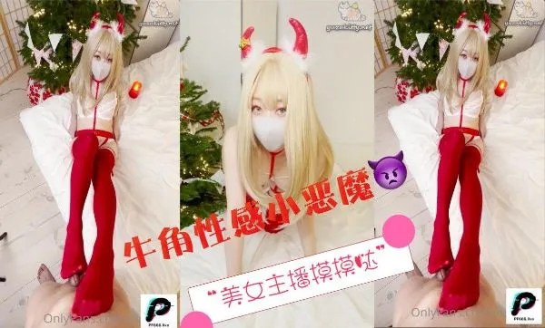 柚子猫-快来享用你的圣诞柚子猫吧