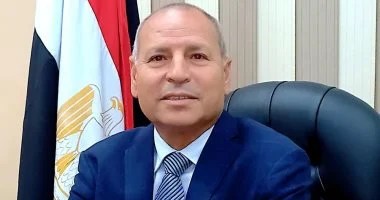 محافظ القاهرة: نستعين بمكاتب استشارية لتشجير المحاور والحدائق
