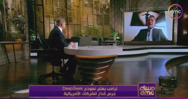 رئيس شركة wb: نموذج deepseek الصيني أحدث هزة للشركات الأمريكية