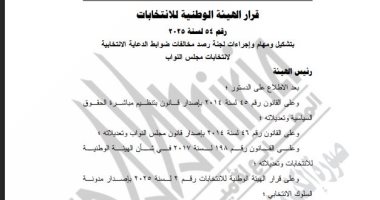 الجريدة الرسمية تنشر قرار تشكيل لجنة لرصد مخالفات الدعاية الانتخابية