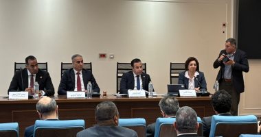 رئيس الجمارك: رسوم 2 لـ5% على مدخلات تصنيع المحمول.. ونائبة تطالب بإلغائها