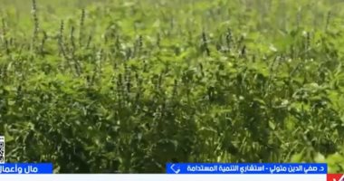 استشارى تنمية: الدلتا الجديدة طفرة زراعية غير مسبوقة فى تاريخ مصر الحديث