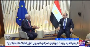 خبير: مصر شريك استراتيجى ومنصة إقليمية للاستثمار والإنتاج