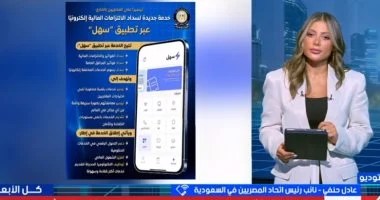 عادل حنفى لإكسترا نيوز: تطبيق سهل يتيح للمصريين بالخارج سداد الفواتير إلكترونيا عادل حنفى لإكسترا نيوز: تطبيق سهل يتيح للمصريين بالخارج سداد الفواتير إلكترونيا