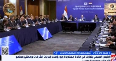 محمد فايز فرحات: جولة الرئيس السيسي الآسيوية تدعم مسار التنمية في مصر