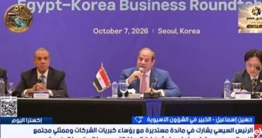 خبير: جولات الرئيس السيسي بآسيا تستهدف توطين الصناعة الكورية بمصر