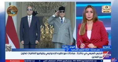 أستاذ علوم سياسية: مصر تفتح آفاقا جديدة للشراكة مع نمور آسيا وتوطين التكنولوجيا